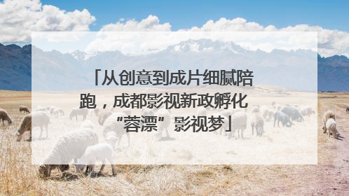 从创意到成片细腻陪跑，成都影视新政孵化“蓉漂”影视梦