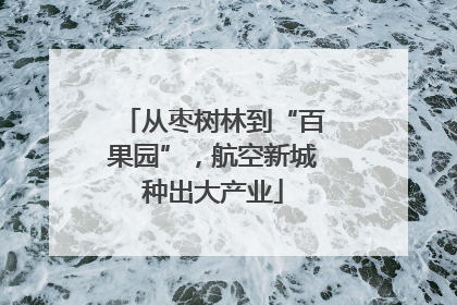 从枣树林到“百果园”，航空新城种出大产业