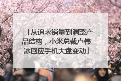 从追求销量到调整产品结构，小米总裁卢伟冰回应手机大盘变动