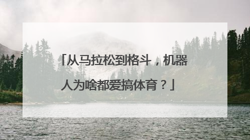 从马拉松到格斗，机器人为啥都爱搞体育？