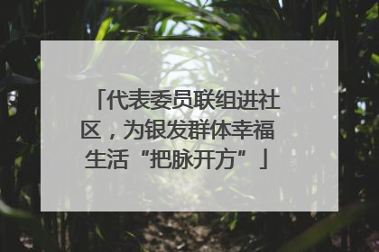 代表委员联组进社区，为银发群体幸福生活“把脉开方”