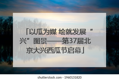 以瓜为媒 绘就发展“兴”图景——第37届北京大兴西瓜节启幕