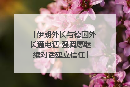 伊朗外长与德国外长通电话 强调愿继续对话建立信任