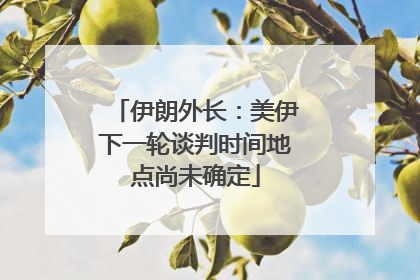 伊朗外长：美伊下一轮谈判时间地点尚未确定