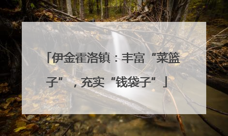 伊金霍洛镇：丰富“菜篮子”，充实“钱袋子”