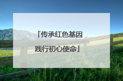 传承红色基因 践行初心使命