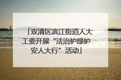 双清区滨江街道人大工委开展“法治护绿护安人大行”活动