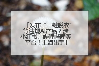 发布“一键脱衣”等违规AI产品？涉小红书、哔哩哔哩等平台！上海出手
