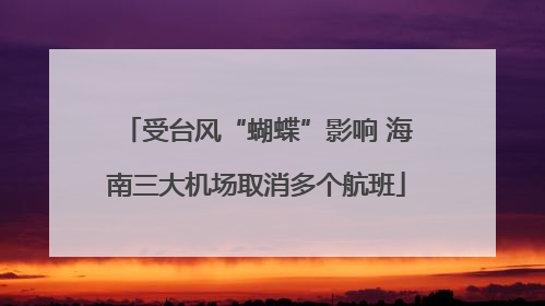 受台风“蝴蝶”影响 海南三大机场取消多个航班