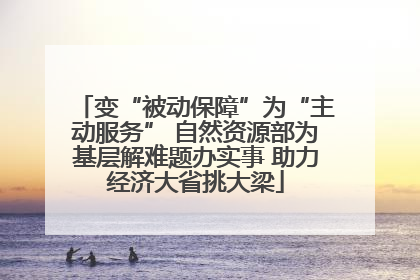 变“被动保障”为“主动服务” 自然资源部为基层解难题办实事 助力经济大省挑大梁