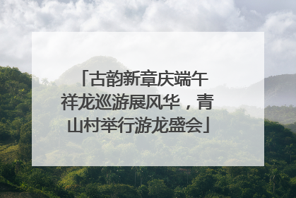 古韵新章庆端午 祥龙巡游展风华，青山村举行游龙盛会