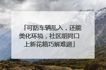 可防车辆乱入，还能美化环境，社区胡同口上新花箱巧解难题