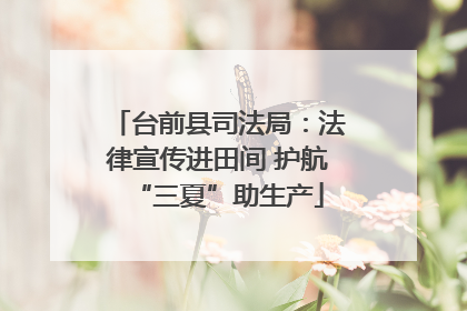 台前县司法局：法律宣传进田间 护航“三夏”助生产