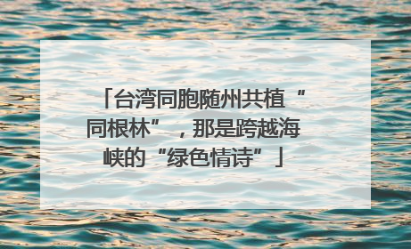 台湾同胞随州共植“同根林”，那是跨越海峡的“绿色情诗”