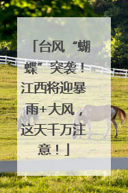 台风“蝴蝶”突袭！江西将迎暴雨+大风，这天千万注意！