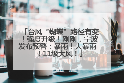 台风“蝴蝶”路径有变！强度升级！刚刚，宁波发布预警：暴雨！大暴雨！11级大风！