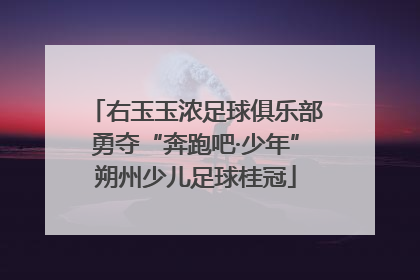 右玉玉浓足球俱乐部勇夺“奔跑吧·少年”朔州少儿足球桂冠