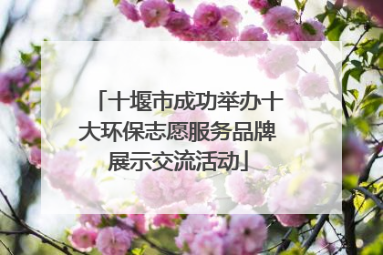 十堰市成功举办十大环保志愿服务品牌展示交流活动