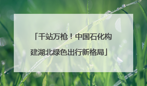 千站万枪！中国石化构建湖北绿色出行新格局