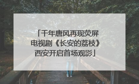 千年唐风再现荧屏 电视剧《长安的荔枝》西安开启首场观影
