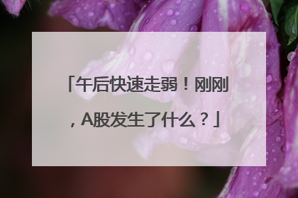 午后快速走弱！刚刚，A股发生了什么？