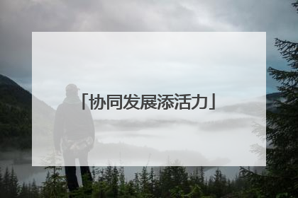 协同发展添活力