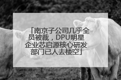 南京子公司几乎全员被裁，DPU明星企业芯启源核心研发部门已人去楼空
