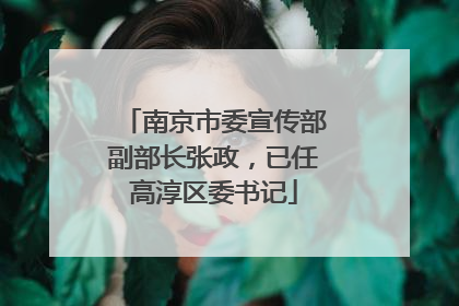 南京市委宣传部副部长张政，已任高淳区委书记