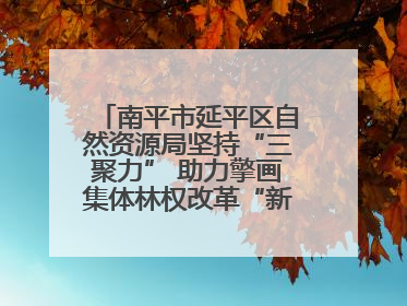 南平市延平区自然资源局坚持“三聚力” 助力擎画集体林权改革“新图景”