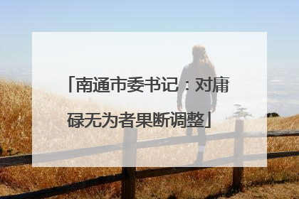 南通市委书记：对庸碌无为者果断调整
