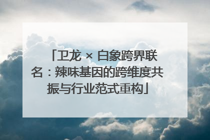 卫龙 × 白象跨界联名：辣味基因的跨维度共振与行业范式重构