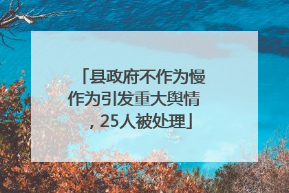 县政府不作为慢作为引发重大舆情，25人被处理
