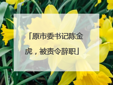 原市委书记陈金虎，被责令辞职