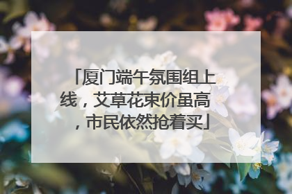 厦门端午氛围组上线，艾草花束价虽高，市民依然抢着买