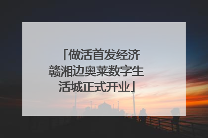 做活首发经济 赣湘边奥莱数字生活城正式开业