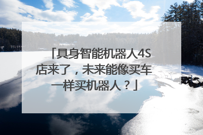 具身智能机器人4S店来了，未来能像买车一样买机器人？
