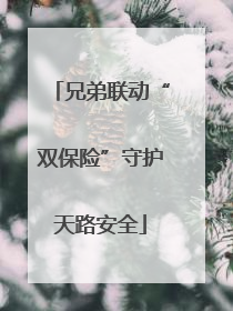 兄弟联动“双保险”守护天路安全