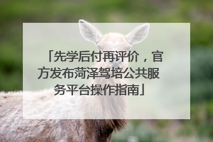 先学后付再评价，官方发布菏泽驾培公共服务平台操作指南