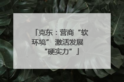 克东：营商“软环境” 激活发展“硬实力”