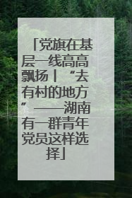 党旗在基层一线高高飘扬丨“去有村的地方”——湖南有一群青年党员这样选择