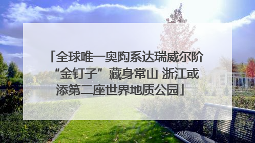 全球唯一奥陶系达瑞威尔阶“金钉子”藏身常山 浙江或添第二座世界地质公园