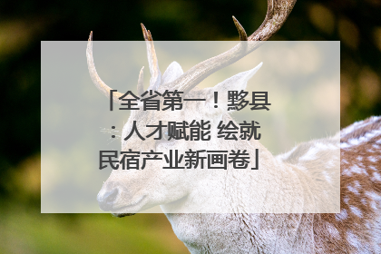 全省第一！黟县：人才赋能 绘就民宿产业新画卷