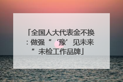 全国人大代表金不换：做强“‘豫’见未来”未检工作品牌