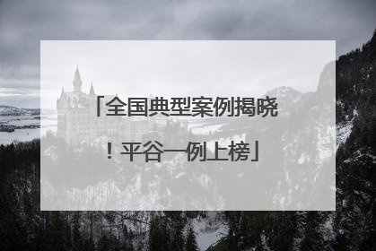 全国典型案例揭晓！平谷一例上榜