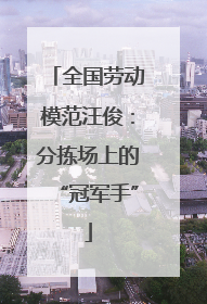 全国劳动模范汪俊：分拣场上的“冠军手”