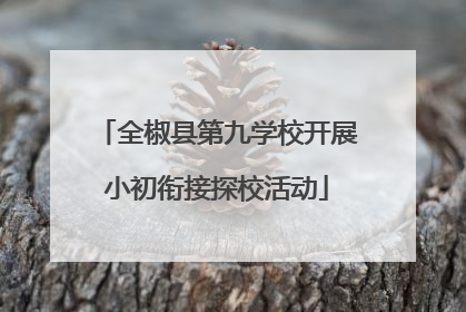 全椒县第九学校开展小初衔接探校活动