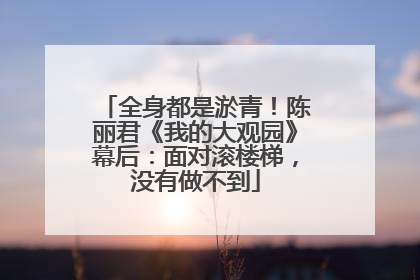 全身都是淤青！陈丽君《我的大观园》幕后：面对滚楼梯，没有做不到