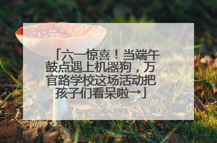 六一惊喜！当端午鼓点遇上机器狗，万官路学校这场活动把孩子们看呆啦→