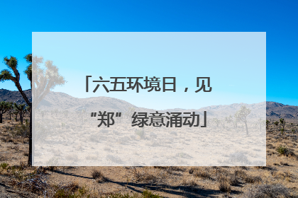 六五环境日，见“郑”绿意涌动