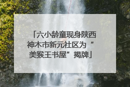 六小龄童现身陕西神木市新元社区为“美猴王书屋”揭牌
